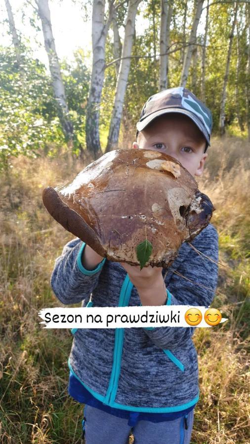 Aris Pokoje Goscinne Wojnicz Extérieur photo